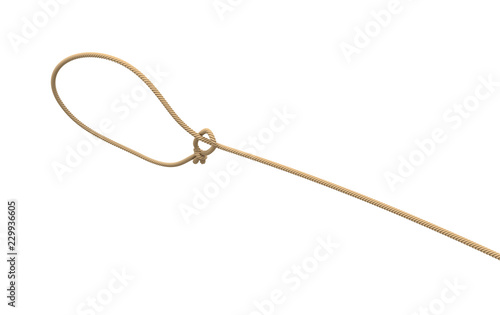 3d rendering of a rope tied in a lasso and flying on a white background.