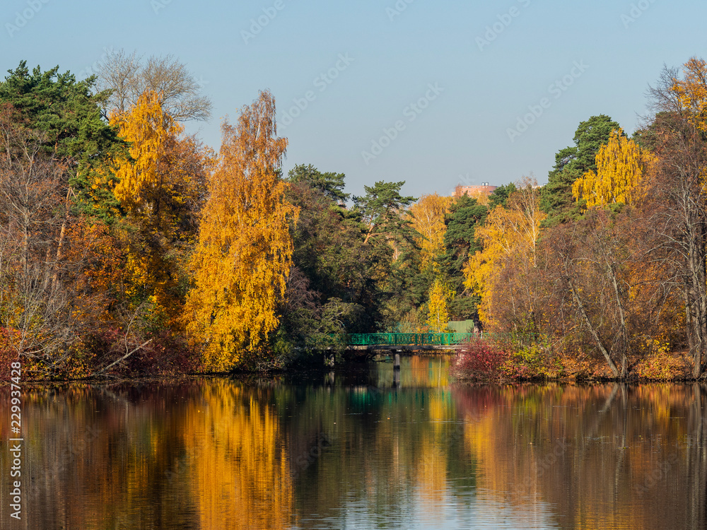 Autumn by the lake Autumn by the lake