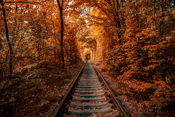 Keuken achterwand Bruin love tunnel in autumn  © Ruslan Ivantsov