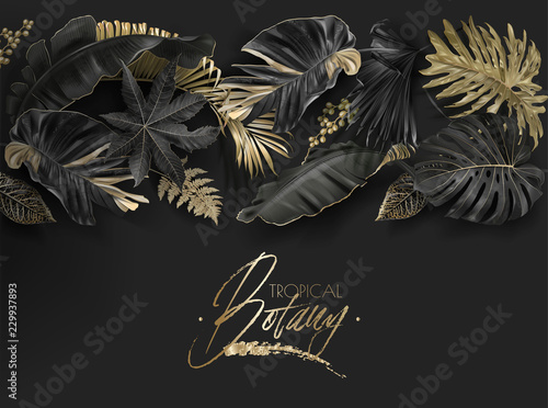 Vector horizontal border with black and gold tropical leaves on dark background.. Luxury exotic botanical design for cosmetics, spa, perfume, aroma, beauty salon. Best as wedding invitation card