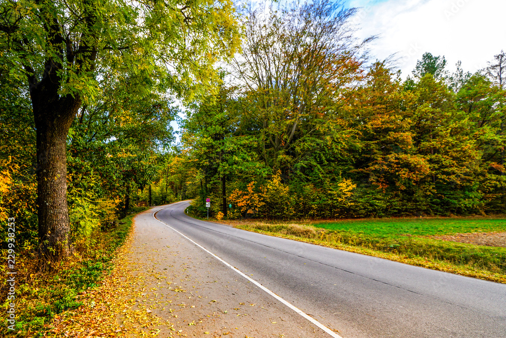 Landstraße im Herbst