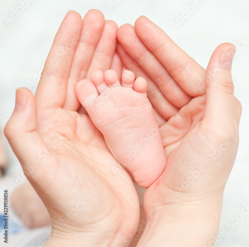 Mothers hand and the Baby`s Feet