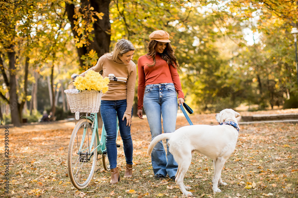 Two female friends walking in the autumn park with dog and bicycle Two female friends walking in the autumn park with dog and bicycle