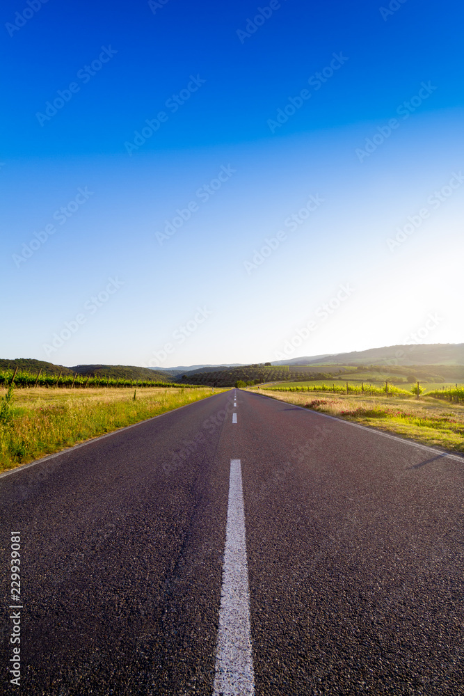 A country road in springtime in Tuscany, Italy