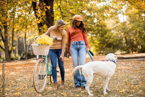 Two female friends walking in the autumn park with dog and bicycle © BGStock72