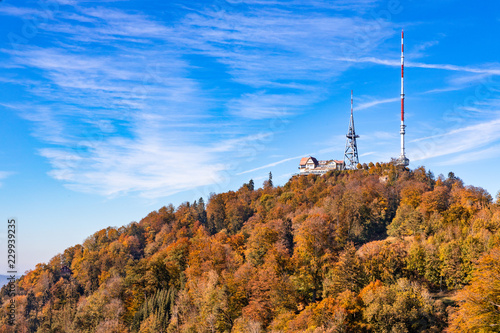 Üetliberg im Herbst photo