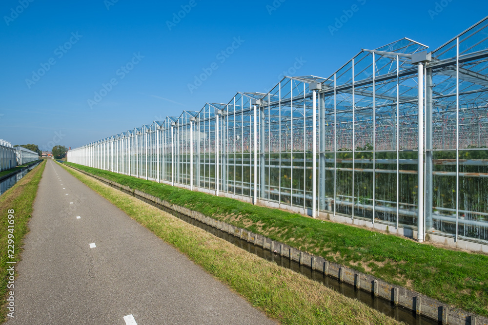 Perspective view of industrial glass greenhouses in the Netehrlands.