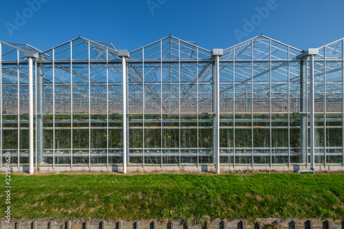 View on industrial glass greenhouses in the Netehrlands.