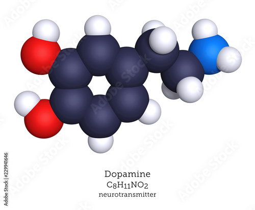 Dopamine neurotransmitter shown as a molecular model photo