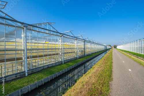 Perspective view of industrial glass greenhouses in the Netehrlands.