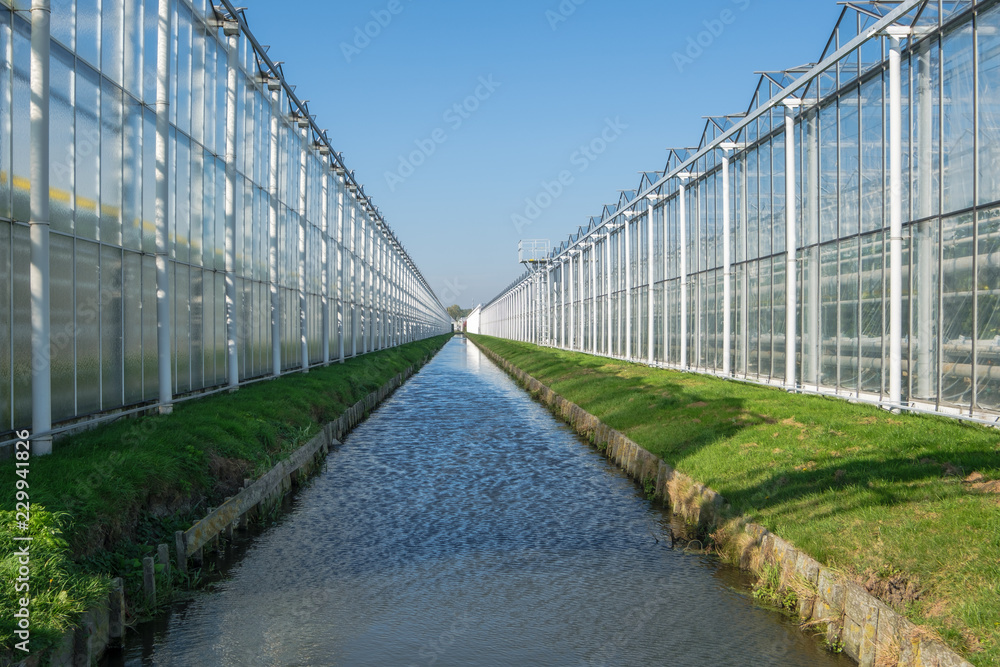 Perspective view of industrial glass greenhouses in the Netehrlands.