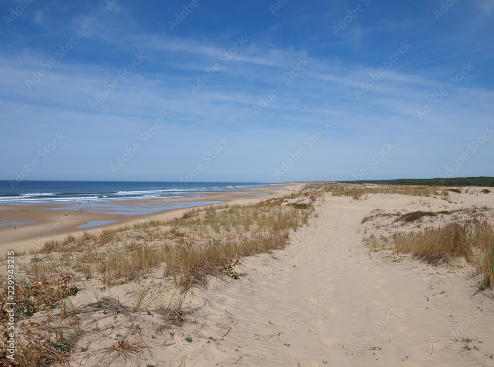 Ciel bleu et mer. La côte, Les dunes et l'immense plage de sable fin de Biscarrosse-plage dans les landes face à  l'océan Atlantique.