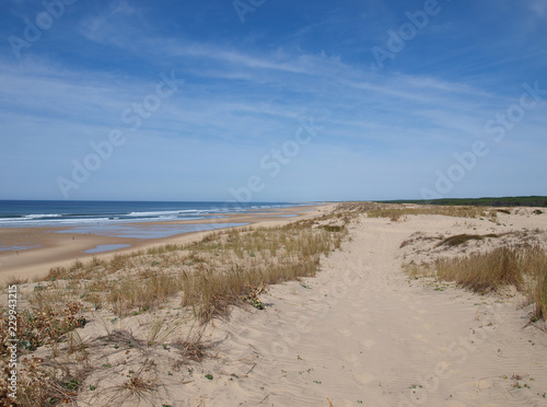 Ciel bleu et mer. La côte, Les dunes et l'immense plage de sable fin de Biscarrosse-plage dans les landes face à l'océan Atlantique.
