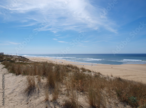 Biscarrosse plage. Point de vue des dunes sur l'immense plage et l'océan atlantique photo