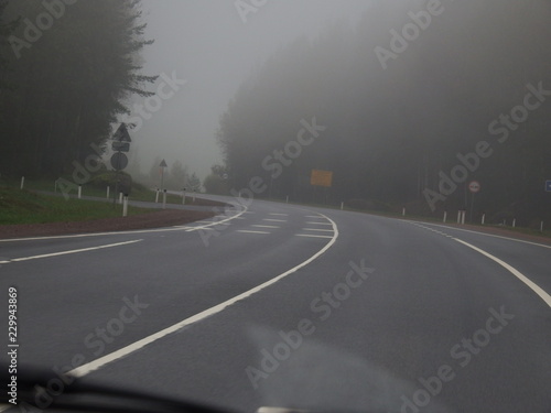 Empty road in heavy fog © Alina