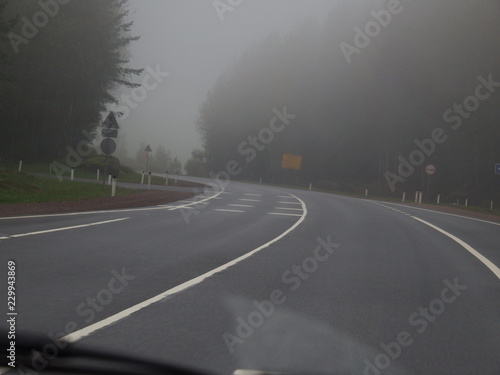 Empty road in heavy fog