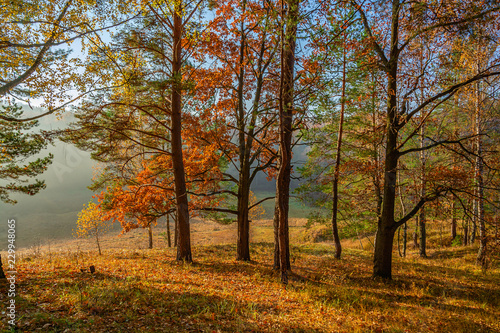 autumn in the park