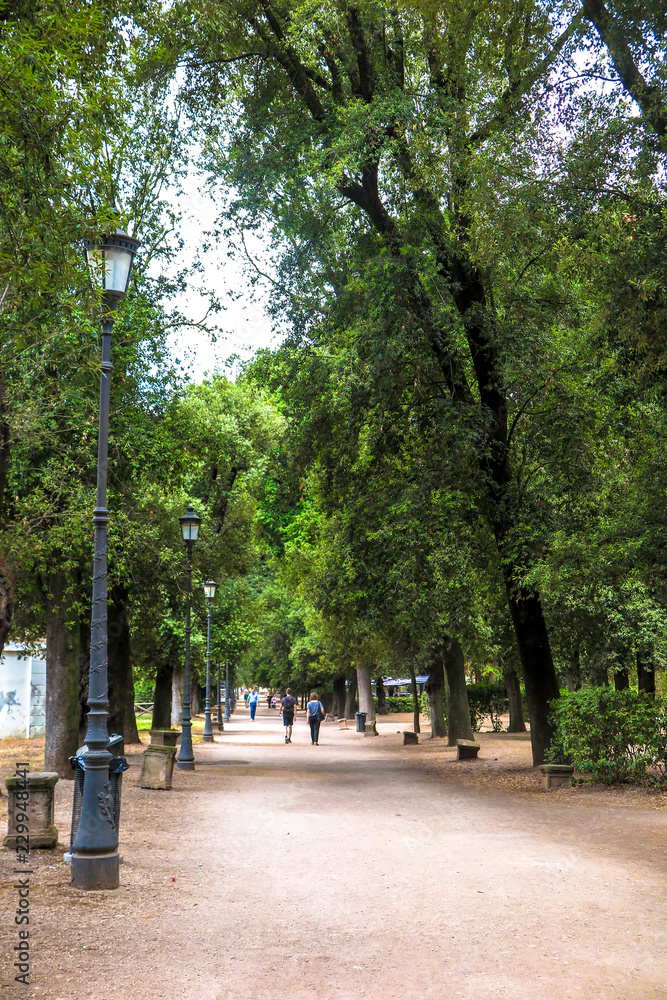 wooded path in urban park. Rome Italy.