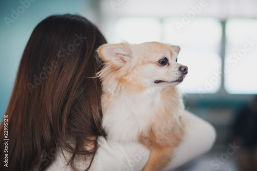 young woman holding her puppy with black nose on her shoulder. Indoor portrait dark long hair posing with dog at home. see from back side of her.