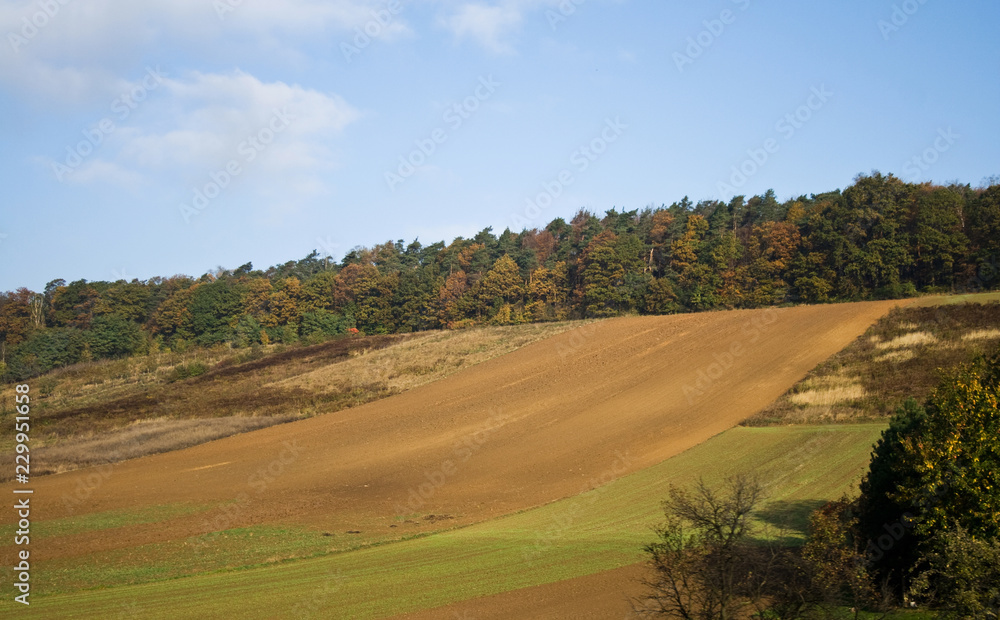 rural landscape with bare fields