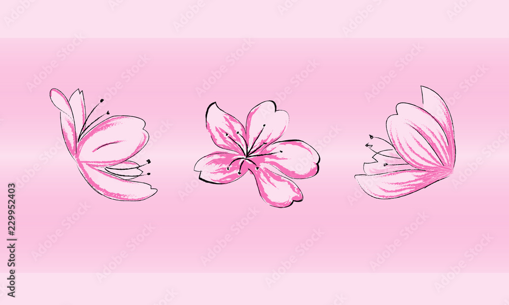 sakuras rosa en pincel 