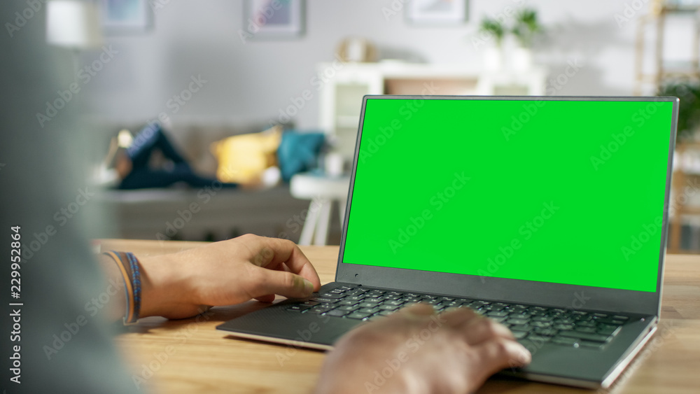 Over the Shoulder Shot of Mans Hands Using Laptop with Green Mock-up Screen. In the Background Cozy Living Room with Woman Relaxing on a Sofa. Over the Shoulder Shot of Mans Hands Using Laptop with Green Mock-up Screen. In the Background Cozy Living Room with Woman Relaxing on a Sofa.