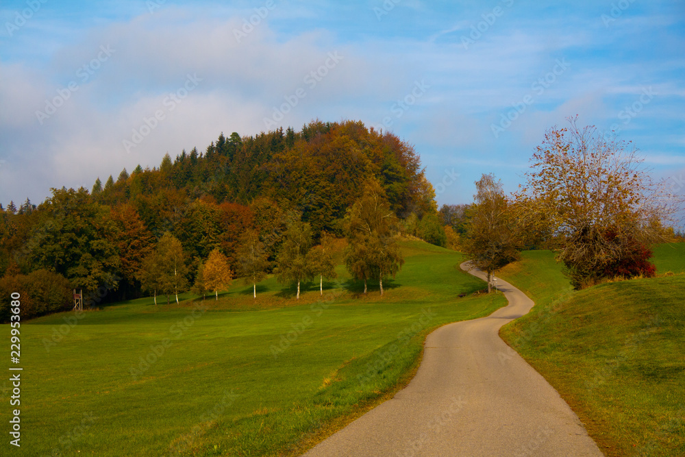 Wanderweg Herbst