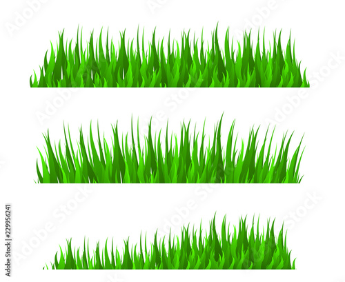 Grass herb fodder nature green decor vector set isolated vector illustration