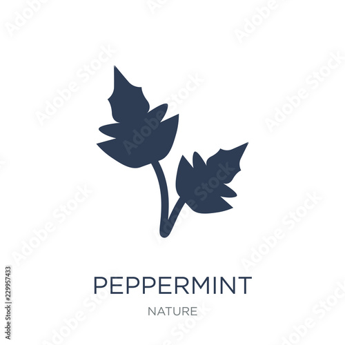 Peppermint icon. Trendy flat vector Peppermint icon on white background from nature collection