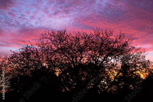 Pink clouds sunset © Franz