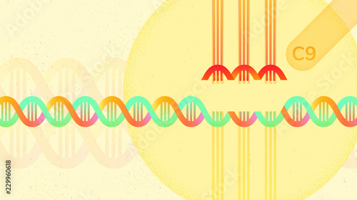 Crispr Cas9