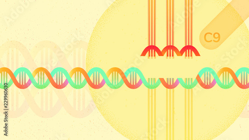 Crispr Cas9