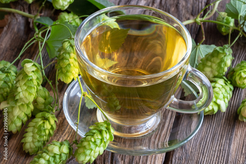 A cup of tea with wild hops on a table