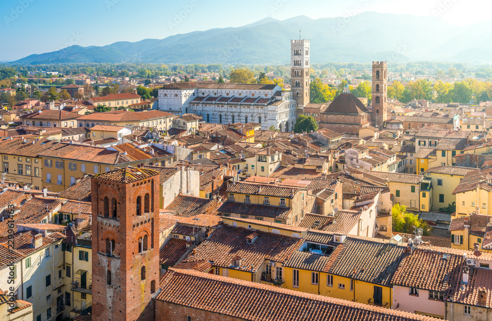 Panoramic sight from Torre delle Ore in Lucca, with the Duomo of San Martino in background. Tuscany, Italy.