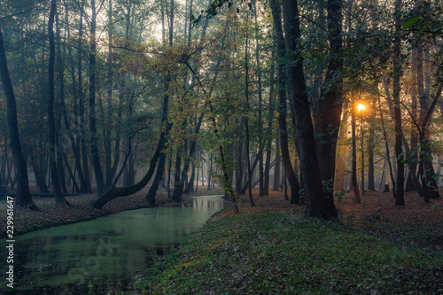 Park on a foggy morning in Konstancin Jeziorna, Mazowieckie, Poland