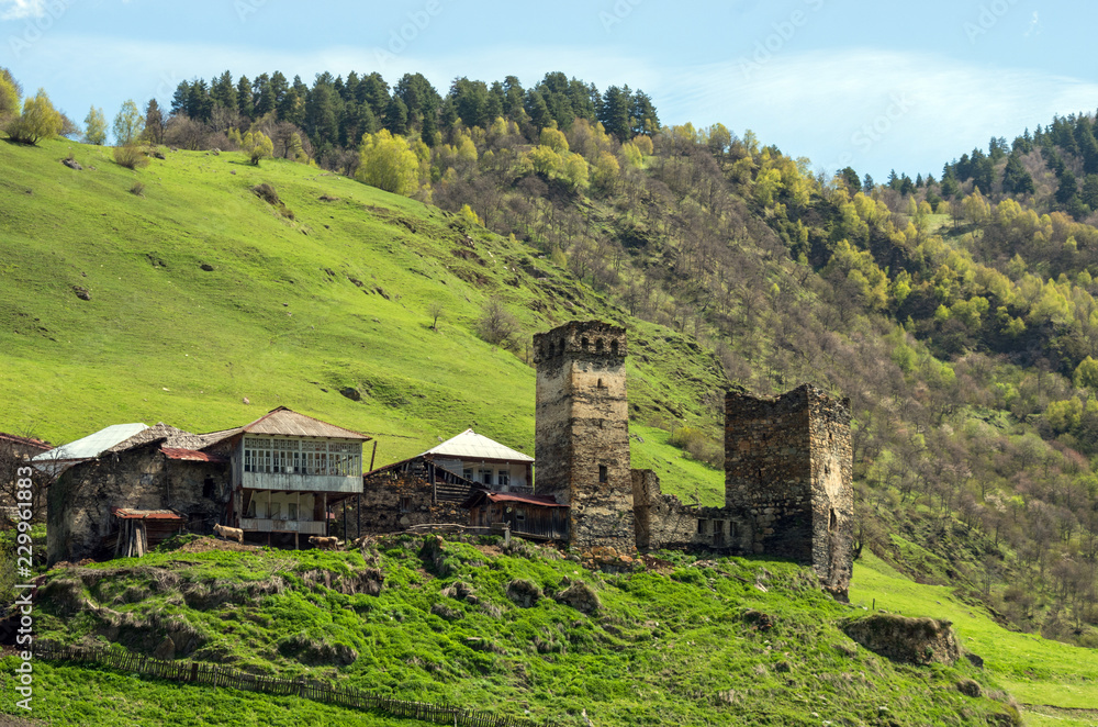 A small farm with traditional Svanetian towers on the background of a green hillside.