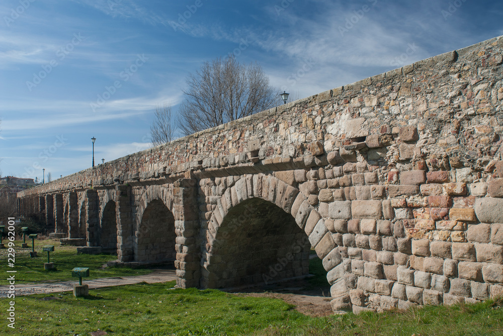 Roman Bridge, Salamanca, Spain