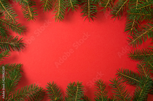 Christmas frame red background. Natural fir tree border with copy space for holiday design