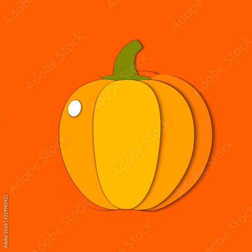 Vector paper cut orange pumpkin, cut shapes. 3D abstract paper art style, origami concept design, food packaging, advertising, detox, cosmetics, healthy eating.