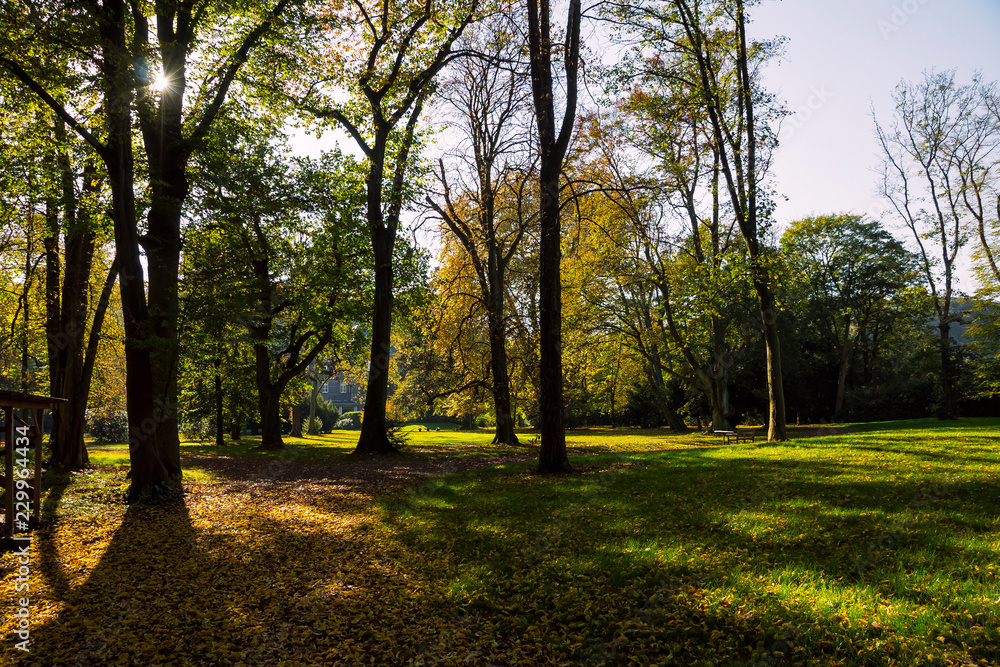 Naklejka premium Natur Erholung