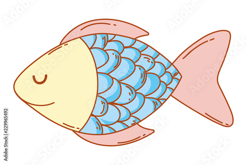 cute fish cartoonn photo