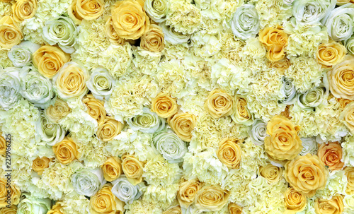 flower picture of roses and carnations

