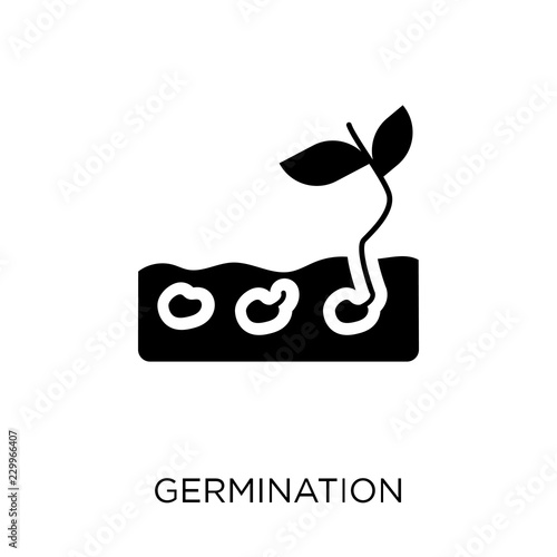 Germination icon. Germination symbol design from Agriculture, Farming and Gardening collection.
