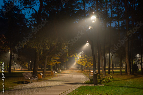Autumnal alley in the park at night in Konstancin Jeziorna, Mazowieckie, Poland