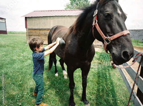 summertime at the horse ranch photo