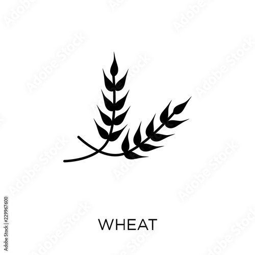 Wheat icon. Wheat symbol design from Agriculture, Farming and Gardening collection.