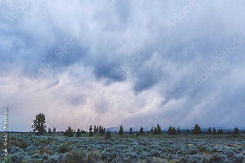 Textured stormclouds overtop of sagebrush and pine covered plains photo