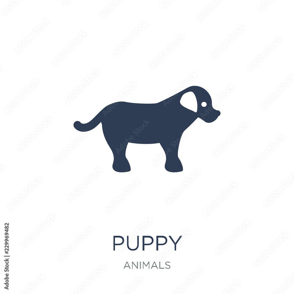 Obraz premium puppy icon. Trendy flat vector puppy icon on white background from animals collection