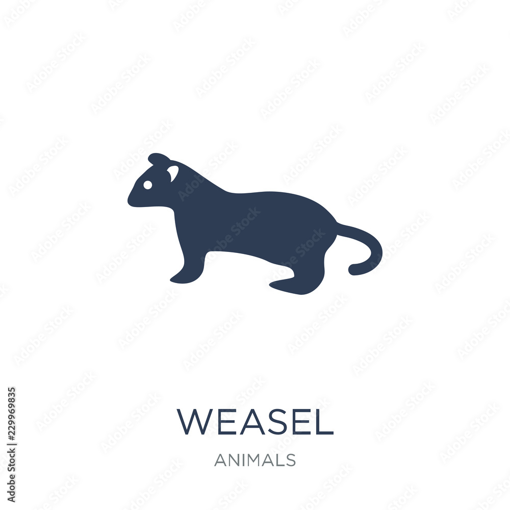 weasel icon. Trendy flat vector weasel icon on white background from animals collection