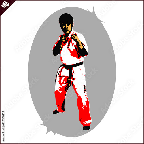 Karate fighter